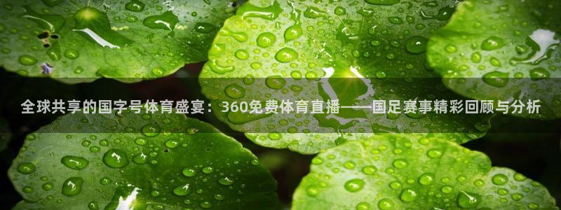 火凤体育直播免费比赛：全球共享的国字号体育盛宴：360免费体育直播——国足赛事精彩回顾与分析